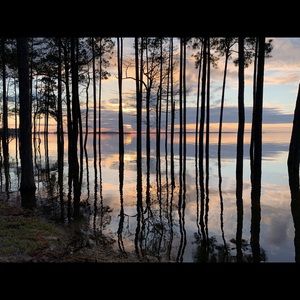 Meet your Posher, Debra